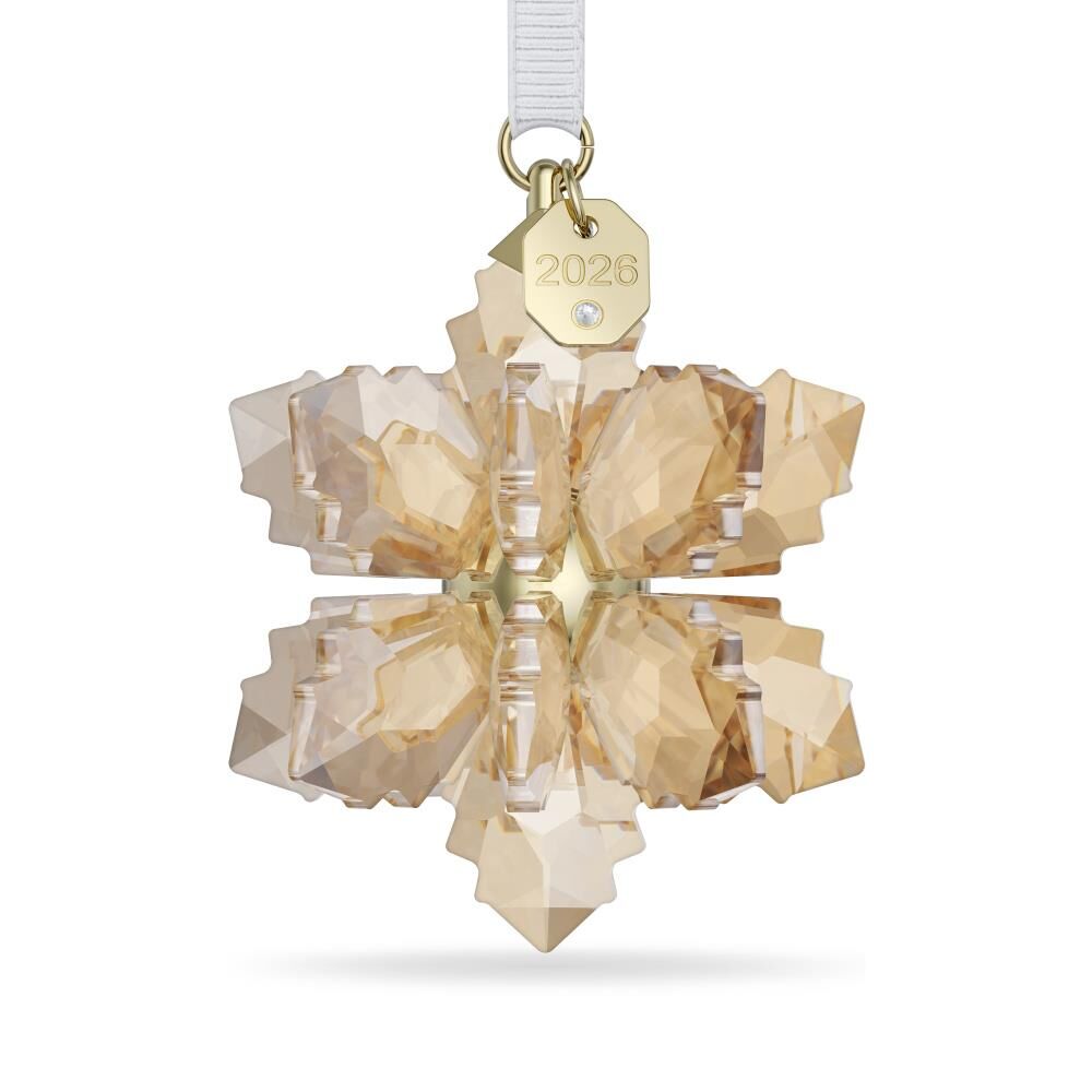 5731942 Swarovski Asma Süsler Annual Edıtıon:Ornament Festıve 3D 2026