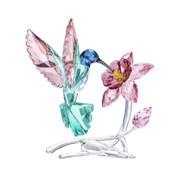 5728071 Swarovski Biblo Crystal Paradıse:Hummıngbırd_Np