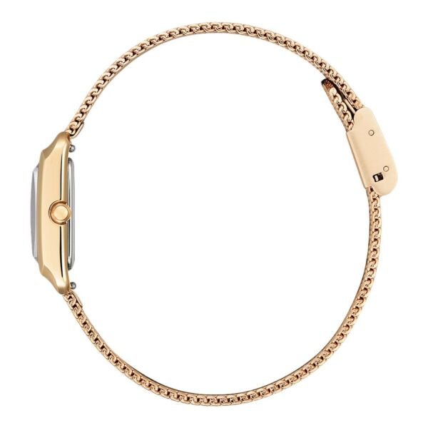 EW5593-64D Citizen Bayan Kol Saati