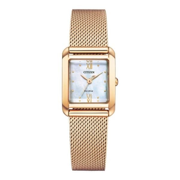 EW5593-64D Citizen Bayan Kol Saati
