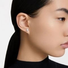 5636713 Swarovski Küpe Thebasıcs:Pe Stud Pear Whıte/Rhs