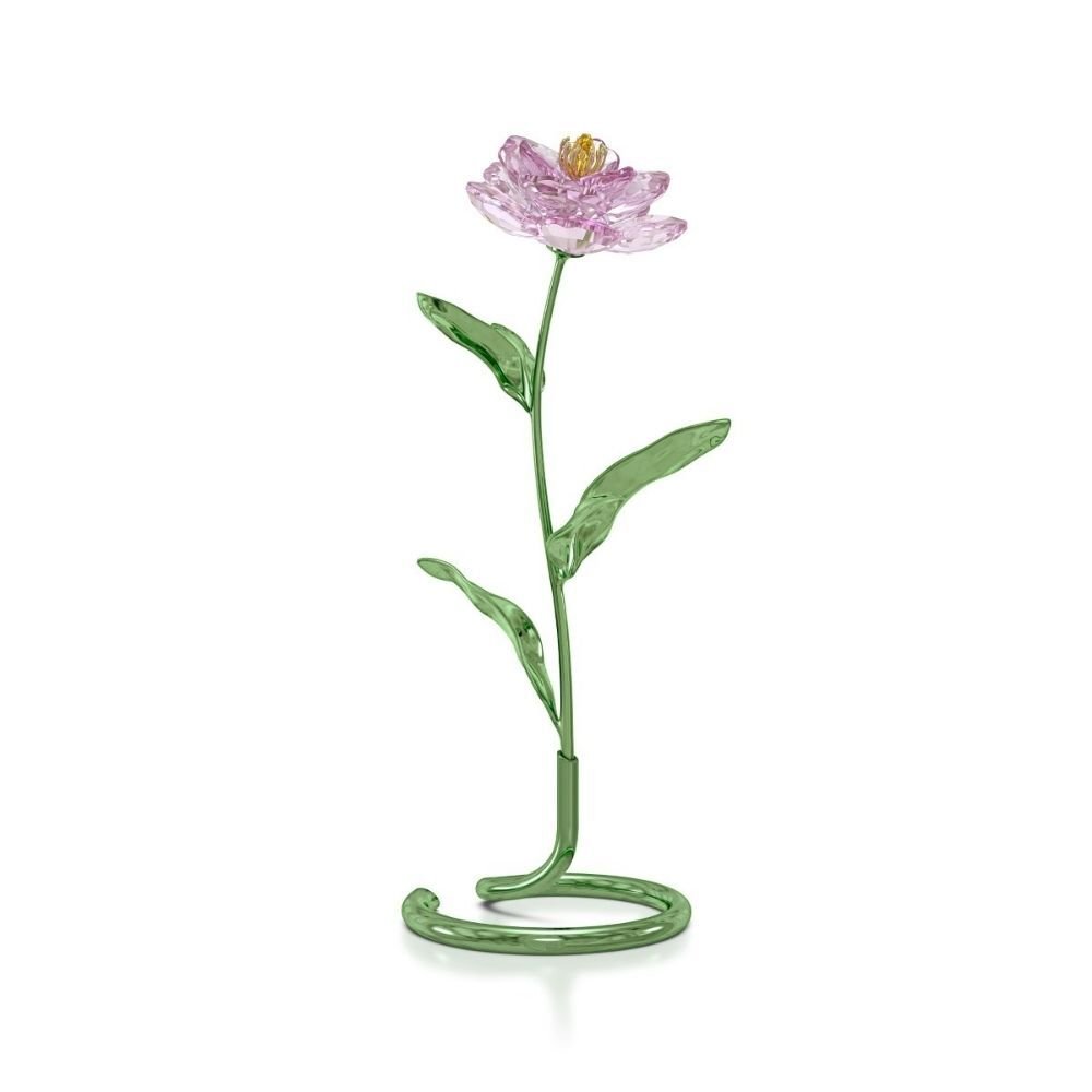 5668065 Swarovski Ev Dekorasyonu Florere:Peony 5668065