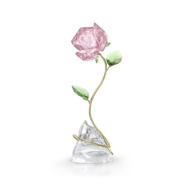 5666973 Swarovski Ev Dekorasyonu Florere:Rose 5666973