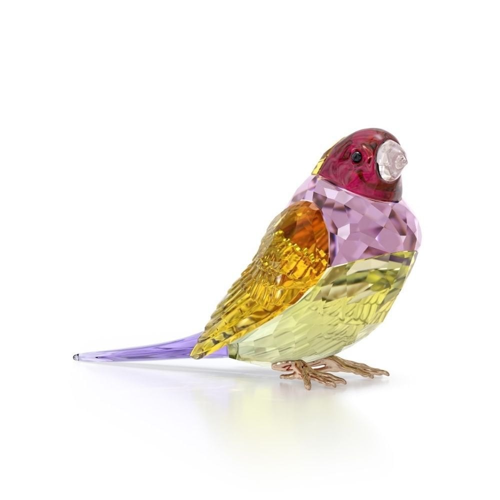 5689265 Swarovski Ev Dekorasyonu Idyllia:Scs Gouldian Finch, Large 5689265