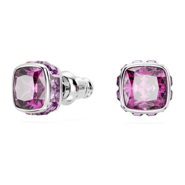 5660797 Swarovski Küpe Birthstone:Pe Studs Feb Pur/Rhs 5660797