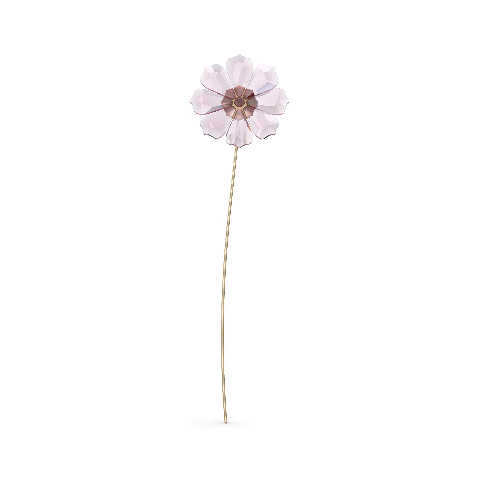 5557801 Swarovski Biblo Garden Tales:Cosmos
