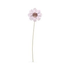 5557801 Swarovski Biblo Garden Tales:Cosmos