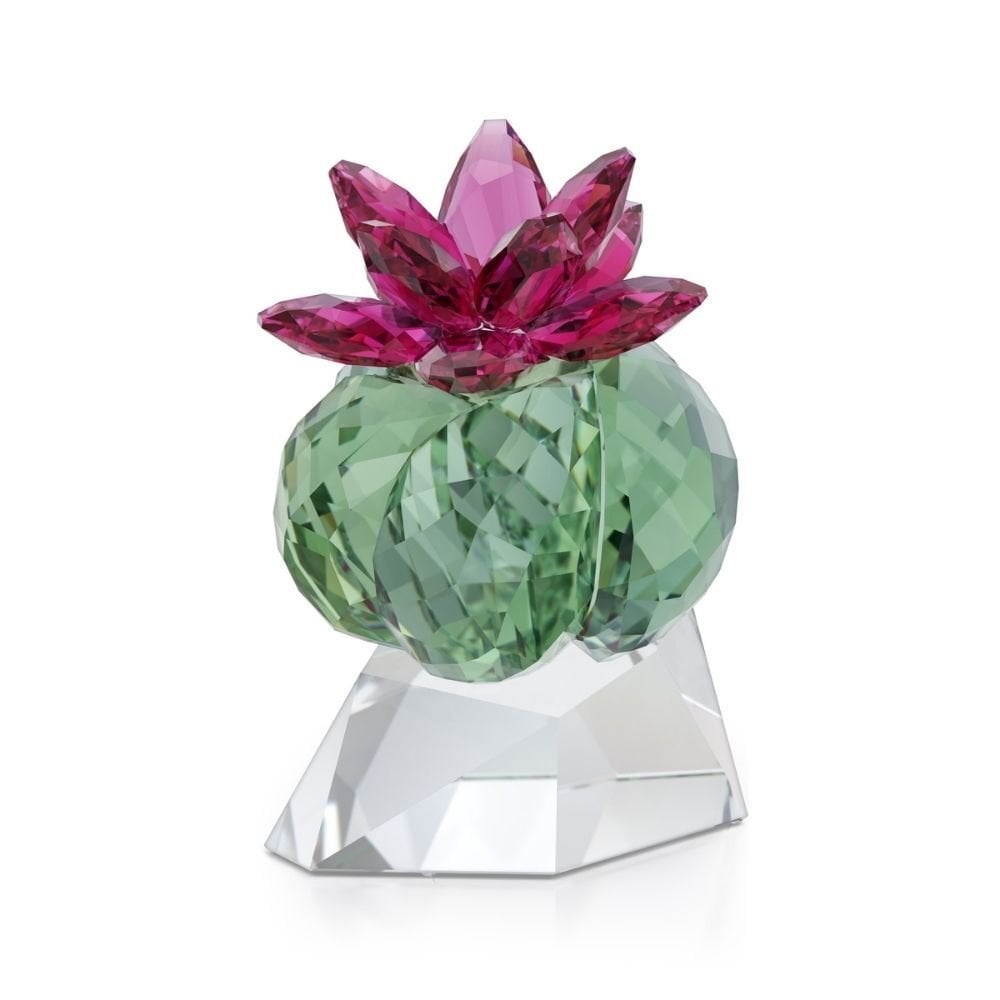5426978 Swarovski Ev Dekorasyonu Crystal Flowers:Bordeaux Cactus 5426978