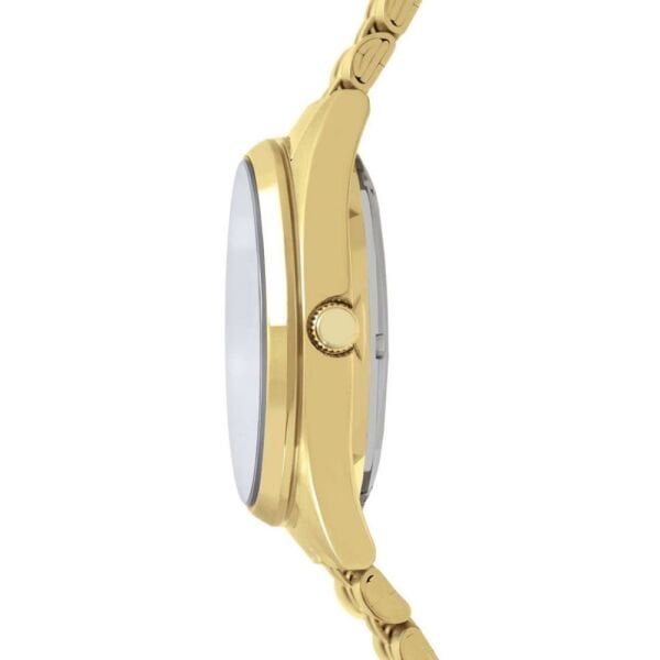 RL434CX9 Lorus Otomatik Erkek Kol Saati