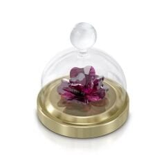 5619223 Swarovski Biblo Garden Tales:Bell Jar Rose S 5619223