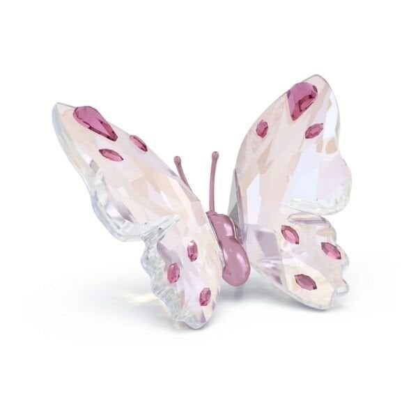 5691959 Swarovski Biblo Idyllıa:Butterfly Pınk 5691959