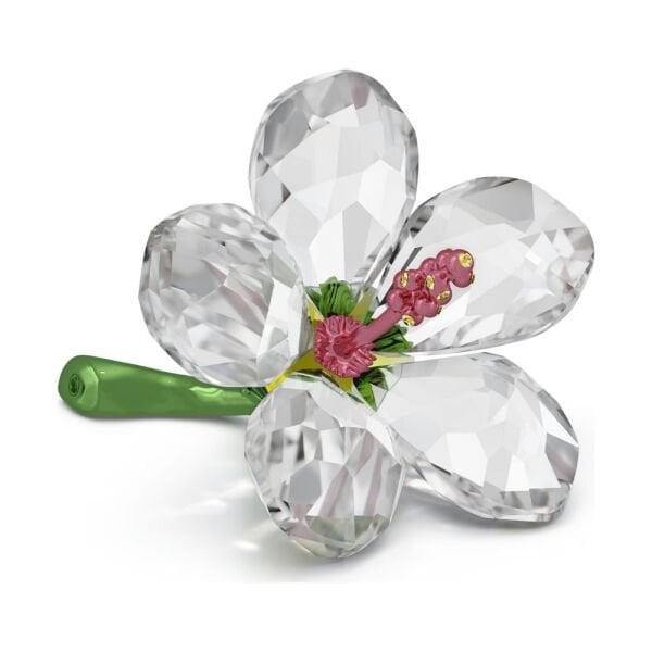 5690534 Swarovski Biblo Florere:Hıbıscus S 5690534