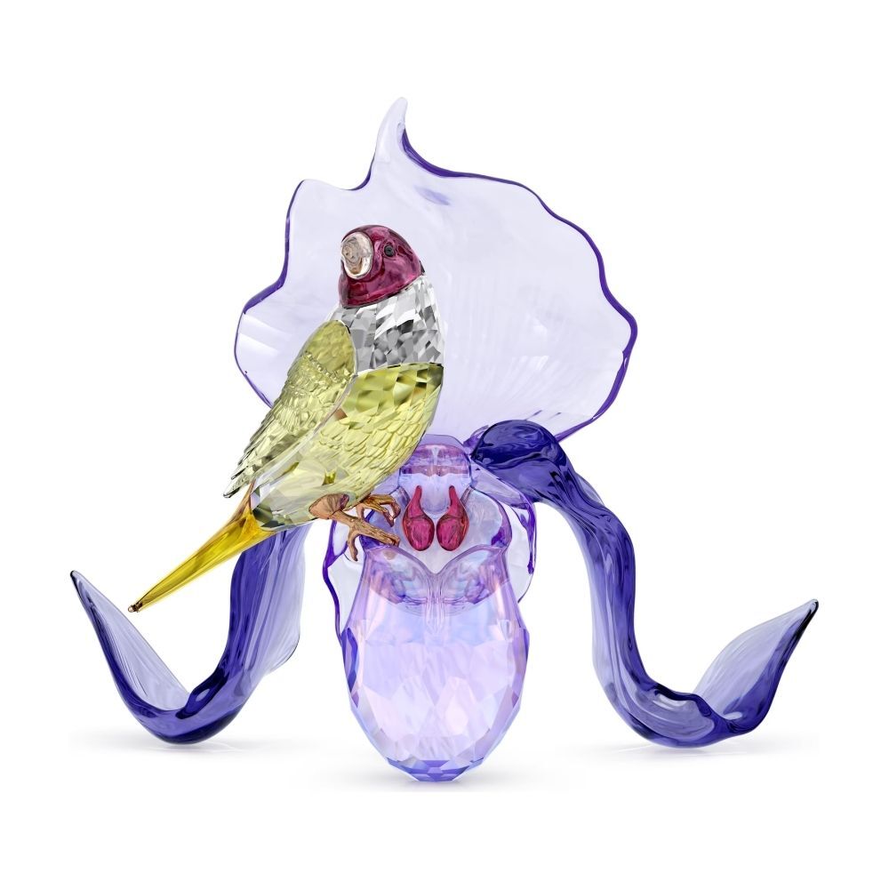 5675211 Swarovski Biblo Idyllıa:Gouldıan Fınch And Orchıd 5675211