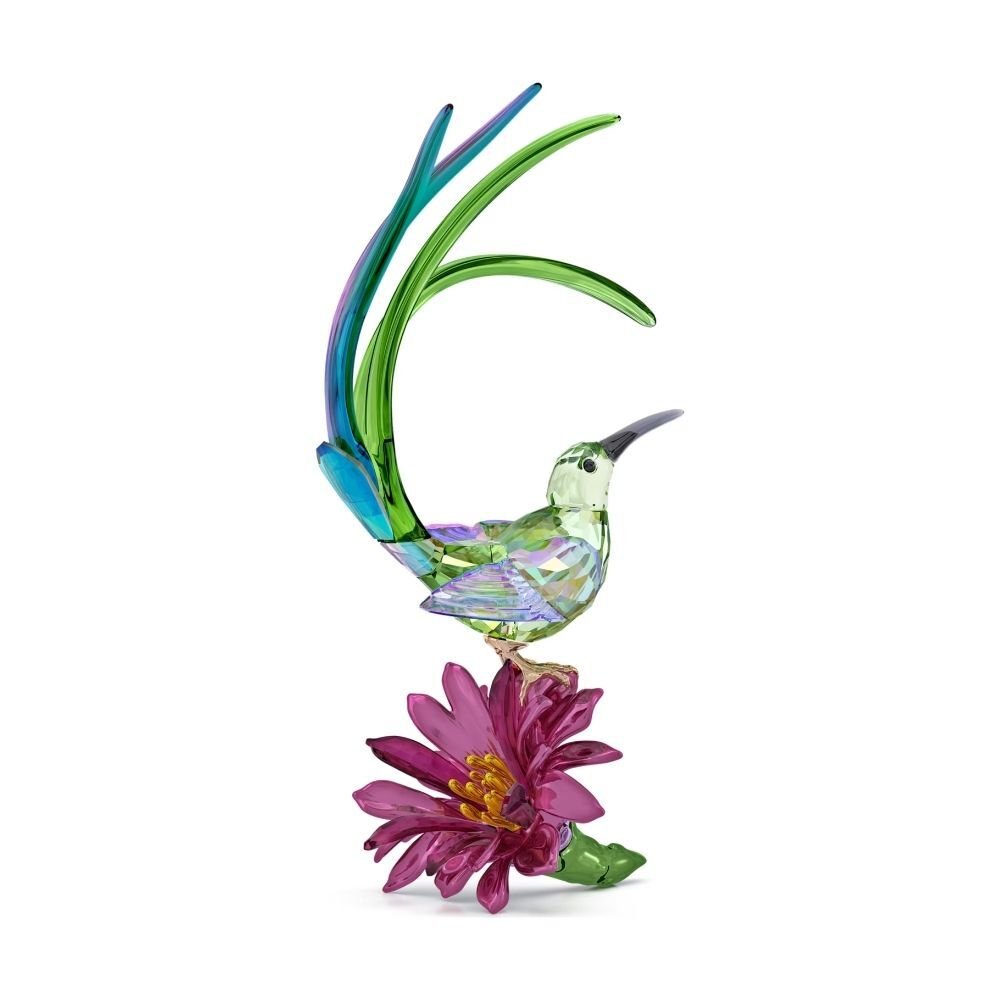 5675166 Swarovski Biblo Idyllıa:Sugarbırd And Cactus Flower 5675166
