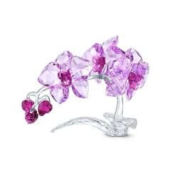 5520373 Swarovski Biblo Crystal Flowers:Orchıd 5520373