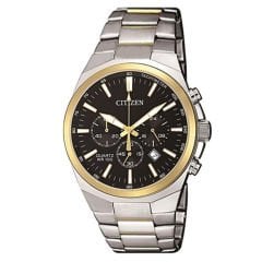 AN8174-58E Citizen Erkek Kol Saati