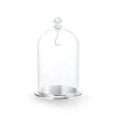 5527606 Swarovski Ev Dekorasyonu Bell Jar Dısplay, Large 5527606