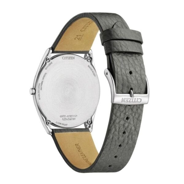 AR3120-24L Citizen Erkek Kol Saati