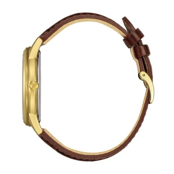 AW1782-11A Citizen Erkek Kol Saati